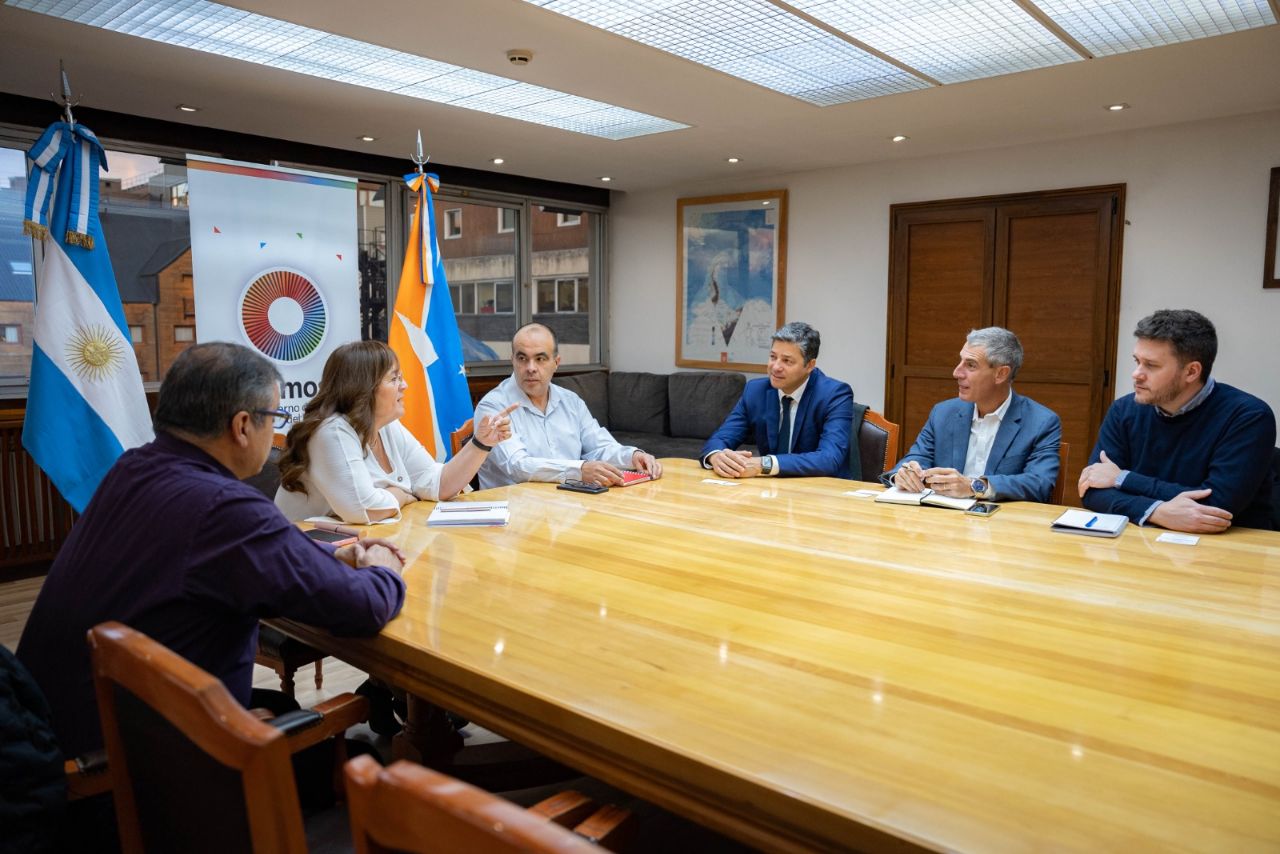 Gobierno recibió a directivos de siemens ENERGY para analizar obras en el sistema eléctrico fueguino