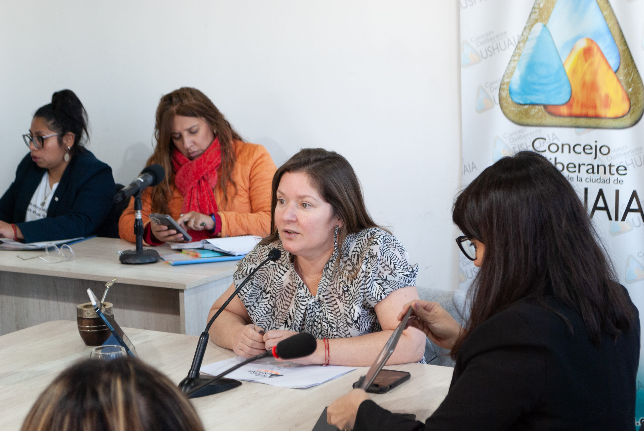 CD Ushuaia: Se avanzan asuntos en la comisión de planeamiento y obras públicas. 