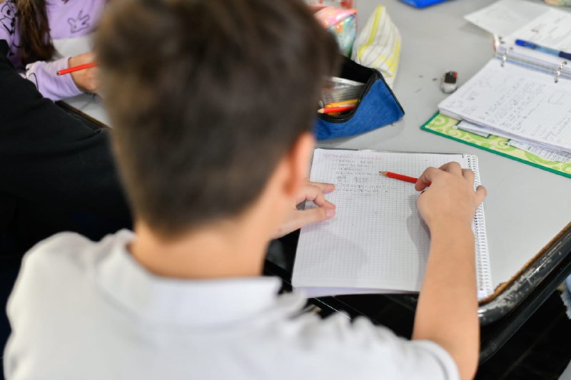 Plan de alfabetización: se llevará a cabo un dispositivo de indagación de aprendizajes en 29 escuelas primarias 